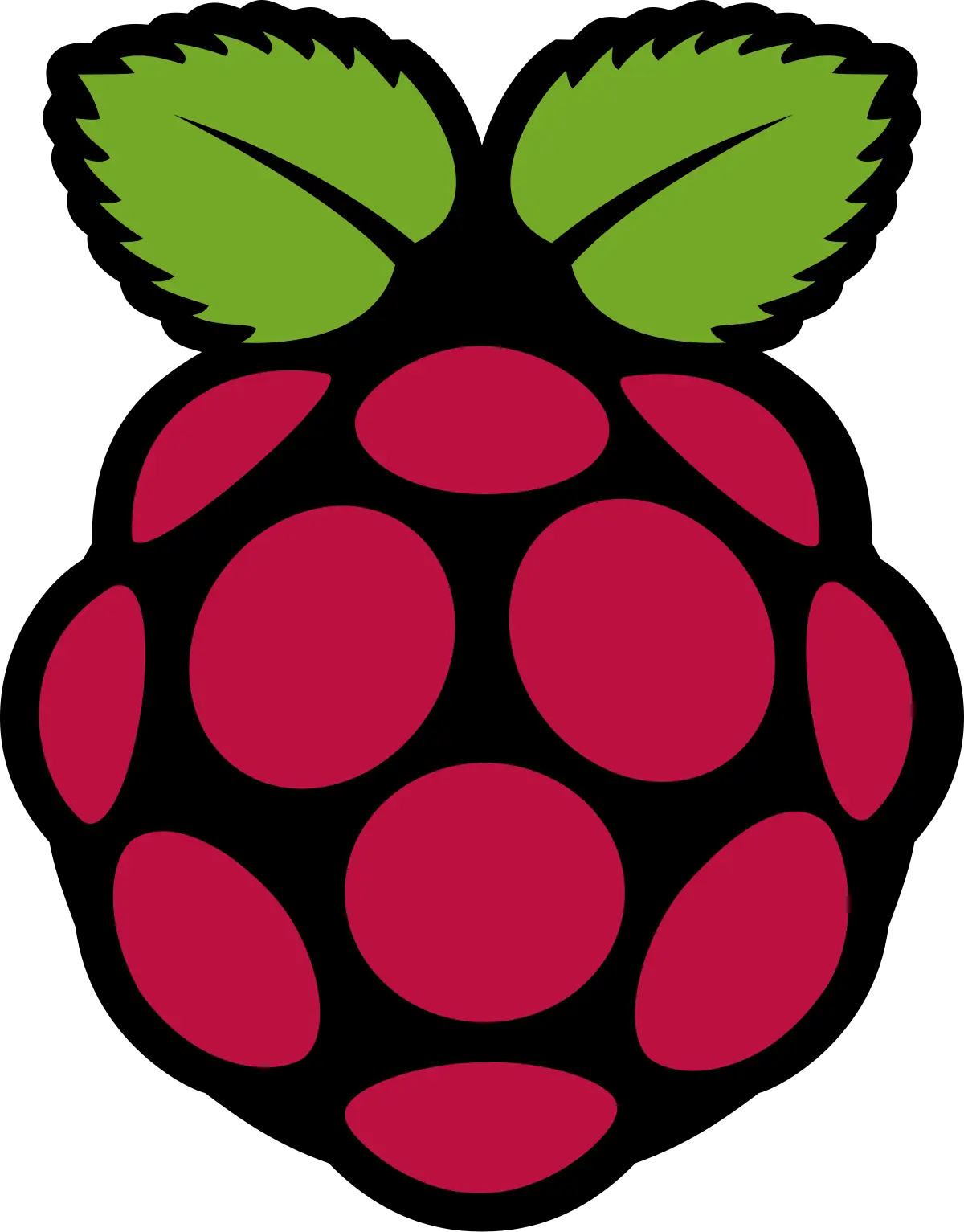 Raspberry Pi 5